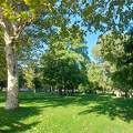 Balatonalmádi Öreg -Park