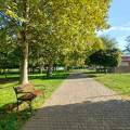 Balatonalmádi Öreg -Park
