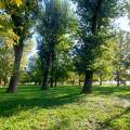 Balatonalmádi Öreg -Park