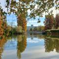 Szombathely - Csónalkázó-tó, ősz, tükröződés