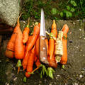 sárgarépa, zöldség, előkészítés :-)