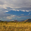 Samburu Nemzeti Park, Kenya