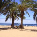 Tenerife-Playa de las Teresitas