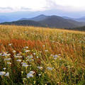 Great Smoky Mountains Nemzeti Park