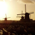 Szélmalmok a naplementében, Kinderdijk, Hollandia